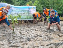 Jaga Kelestarian Lingkungan, PLN Batam Tanam 1.000 Pohon Mangrove di Pantai Nongsa