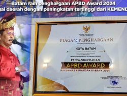 Batam Terima Penghargaan APBD Award 2024, Peningkatan PAD Tertinggi