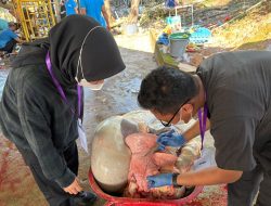 Jamin Kesehatan Pangan, Karantina Kepri Bersinergi Dalam Periksa Hewan Kurban