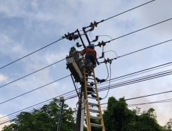 Listrik PLN Batam di Piayu Padam Akibat Layang-Layang dan Pohon Tumbang