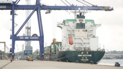 Volume Peti Kemas Tumbuh, Jumlah Penumpang Melonjak, BP Batam Buka 2026 dengan Kinerja Optimis