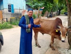 Penuh Syukur, Komunitas Jurnalis Kepri Sembelih 1 Sapi dan 1 Kambing di Idul Adha 2026
