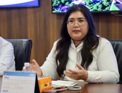 Penataan UMKM Mega Legenda: BP Batam Beri Tenggat hingga Akhir Tahun
