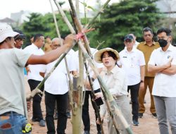 Li Claudia Tanam Pohon, Awali Penataan DAS Baloi Indah Jadi Taman Kota