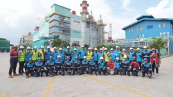 Swedia Perkuat Pasokan Listrik untuk Investasi Strategis di Batam